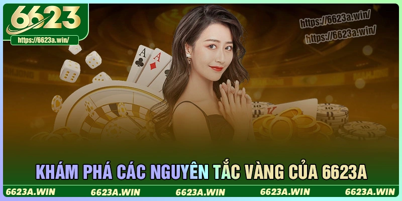 Khám phá ba nguyên tắc vàng của 6623a Khám phá ba nguyên tắc vàng của 6623a